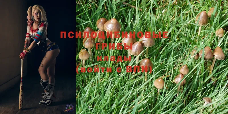 Псилоцибиновые грибы Magic Shrooms  Агрыз 